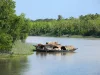 Govt Imposes 3-Month Ban From June 1 on Visitor’s Entry Into the Sundarbans