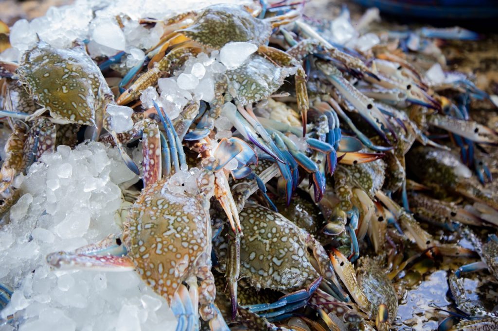Crab 2