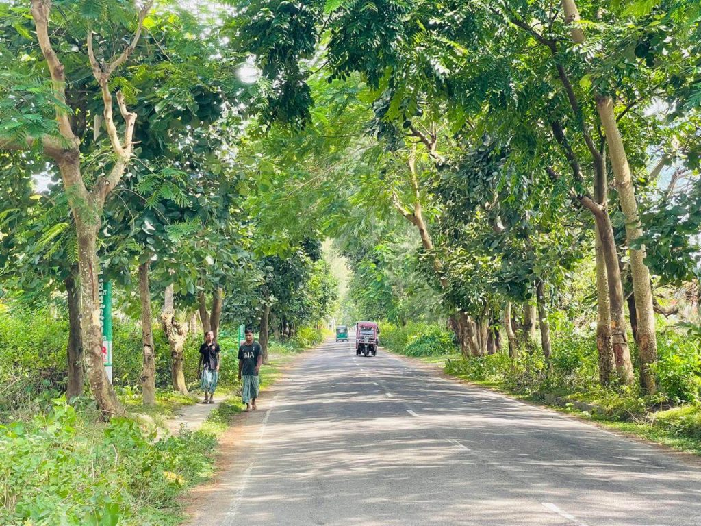 Marine Drive 2