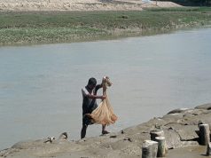 Fishermen Cast Nets at Bhola Canal Despite Declining Fish Stocks