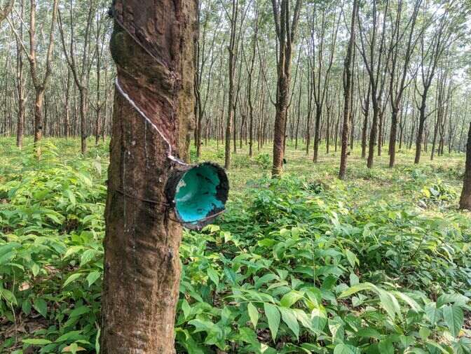 Rubber_optimized
