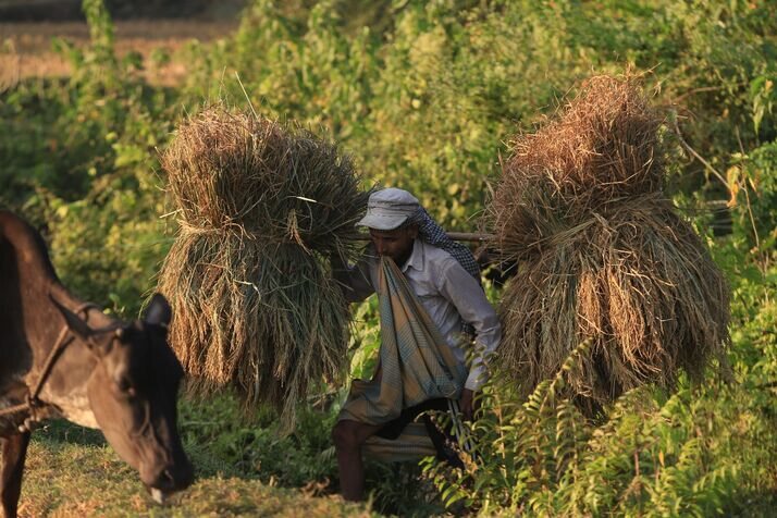 Farmer 2 optimized 100