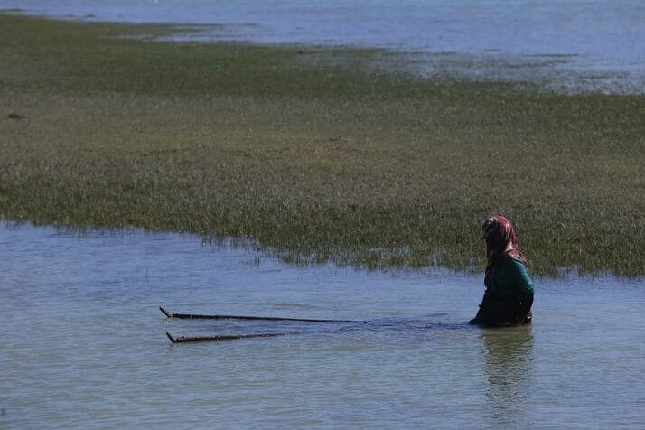 Fishing 2 2 optimized 100