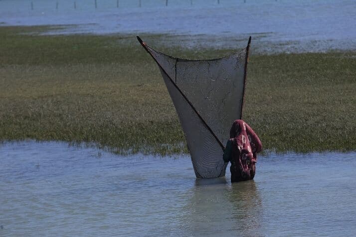 Fishing 3 1 optimized 100