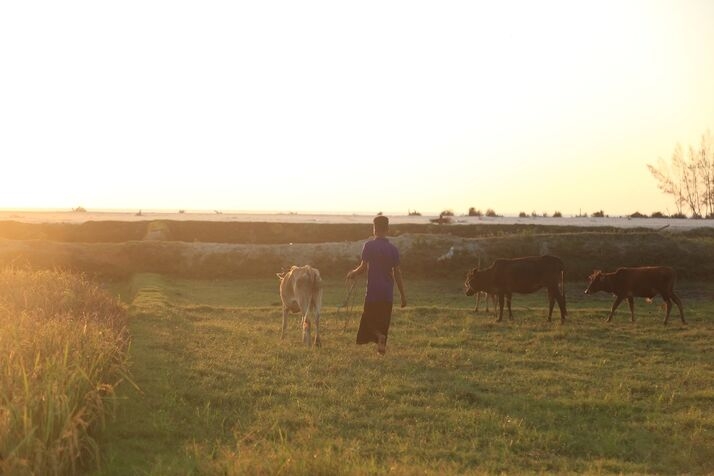 Rural_4_optimized_100