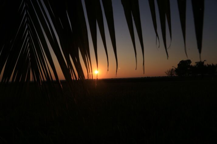 Sunset 4 n optimized