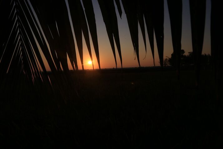 Sunset 5 n optimized