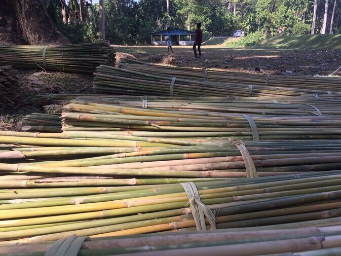 Bamboo 2 optimized 100