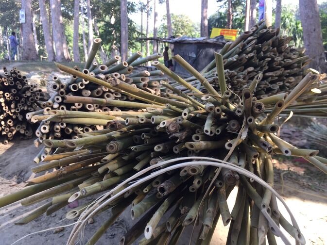Bamboo 3 optimized 100