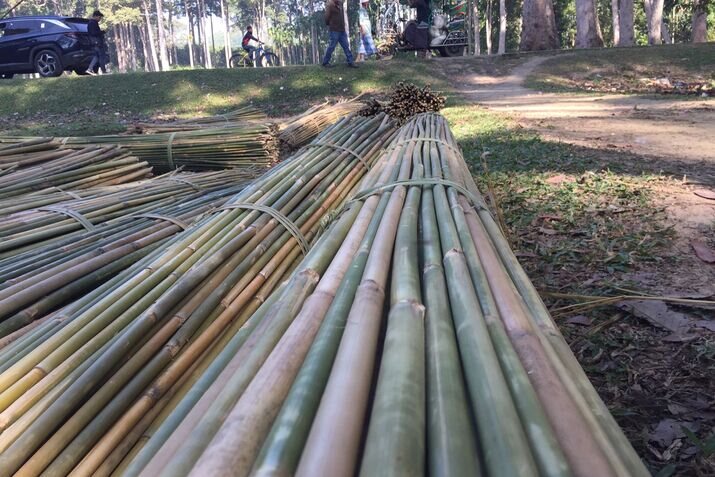 Bamboo 4 optimized 100