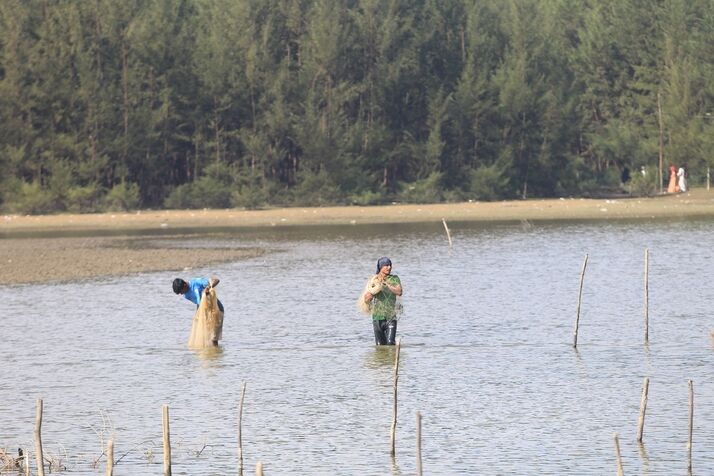 Fishing 4 1 optimized 100