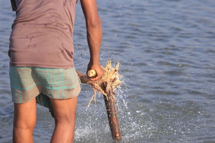 Fishing new 2 optimized 100