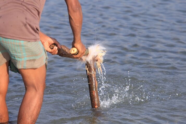 Fishing new 3 optimized 100