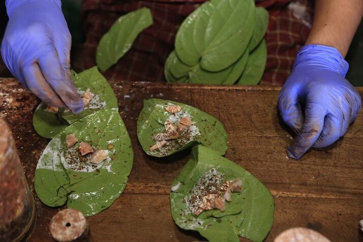 Paan 4