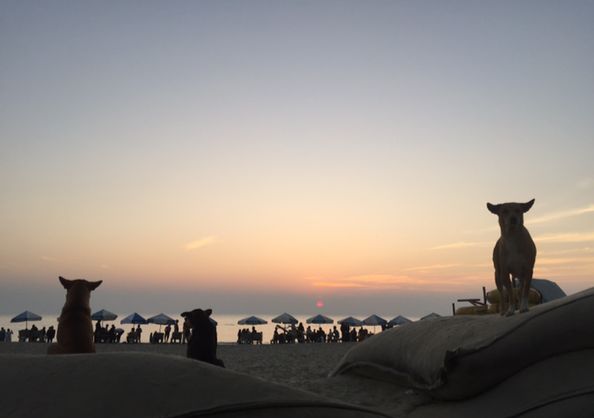 Sunset 5
