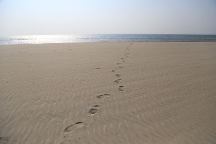 Beach 2 optimized 100