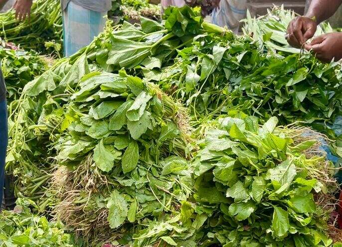 Greens_optimized_100
