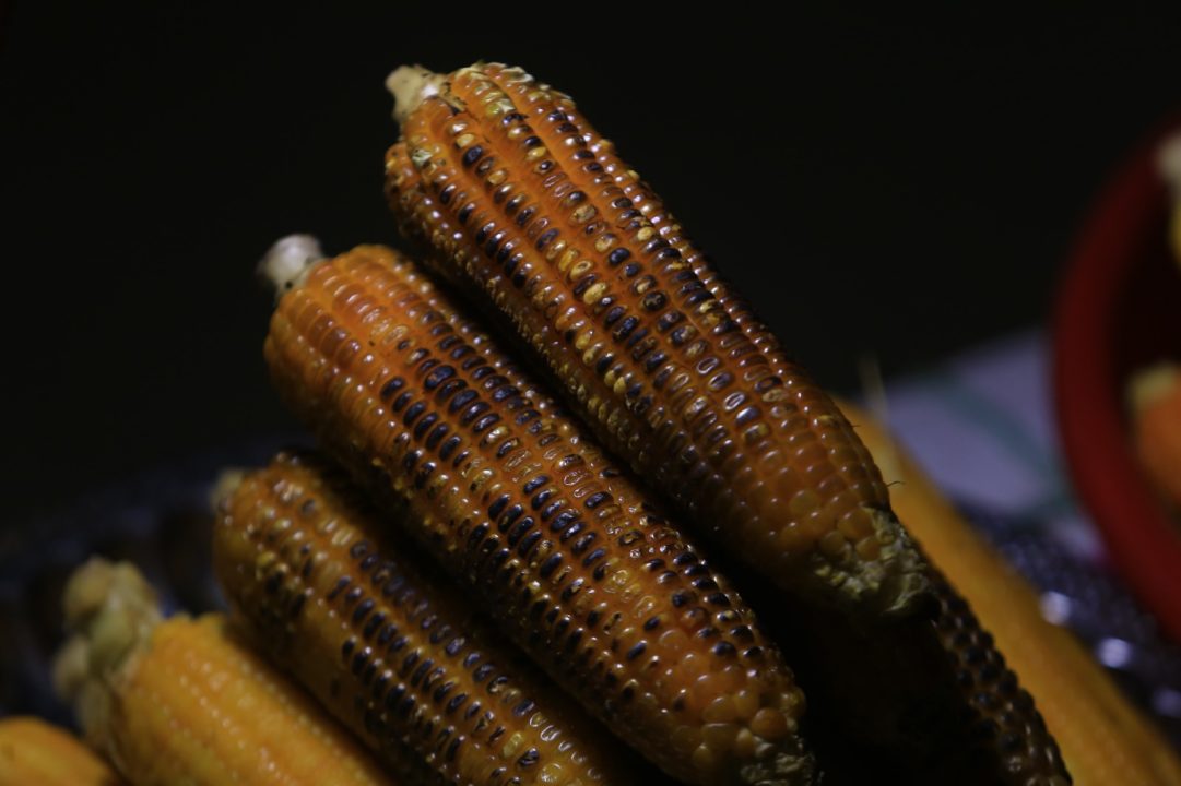 bhutta