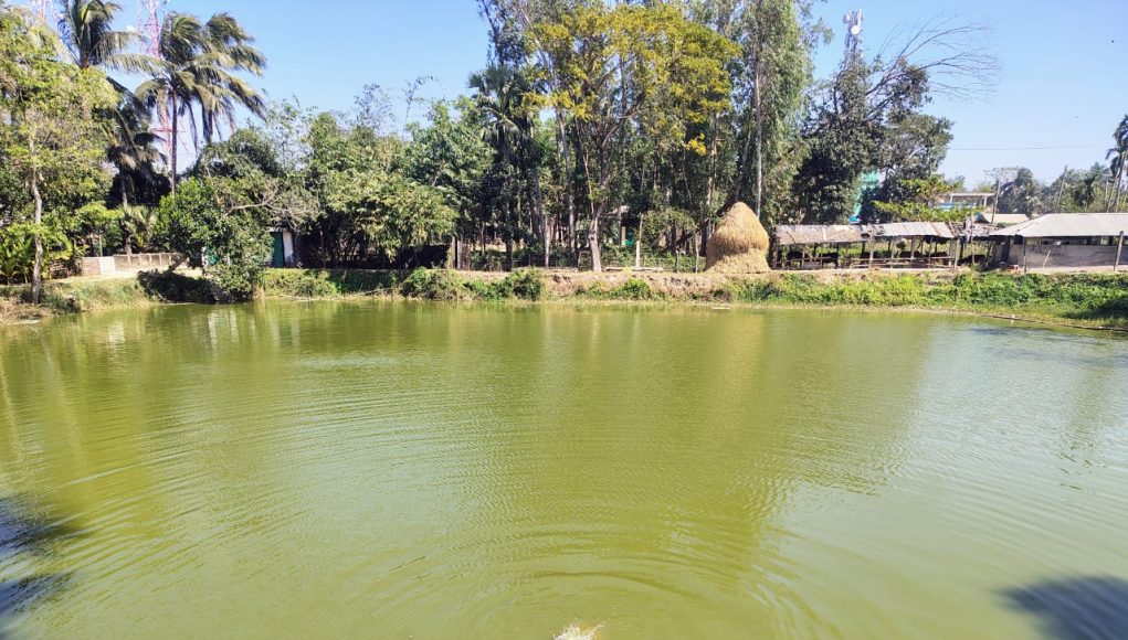 POND