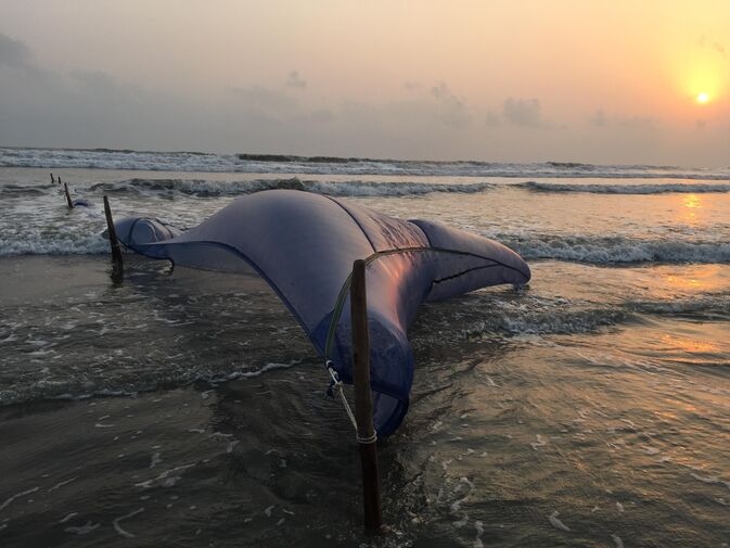 Sunset Fishing optimized 100