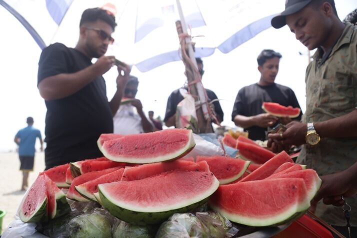 Watermelon 2 optimized 100