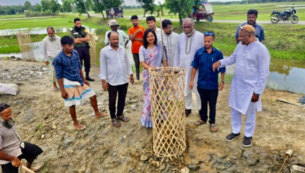 Tree Plantation
