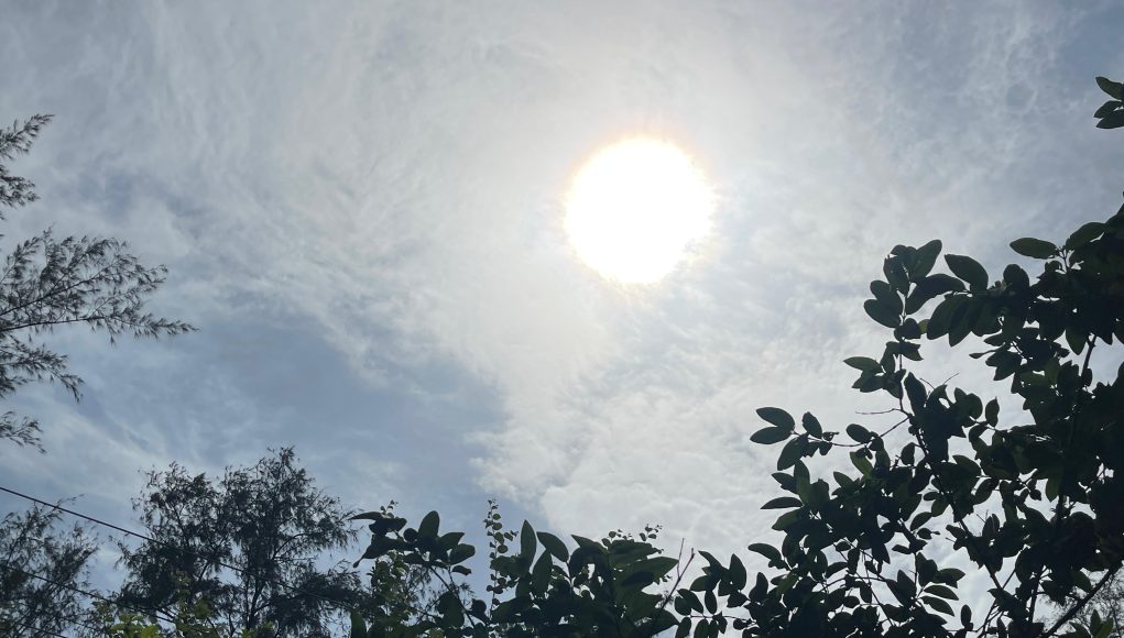 IMG-20250710-WA0020