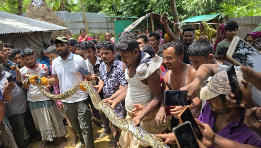 Pythonn