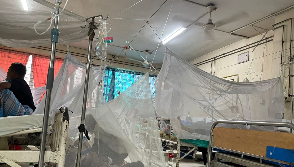 Dengue 2