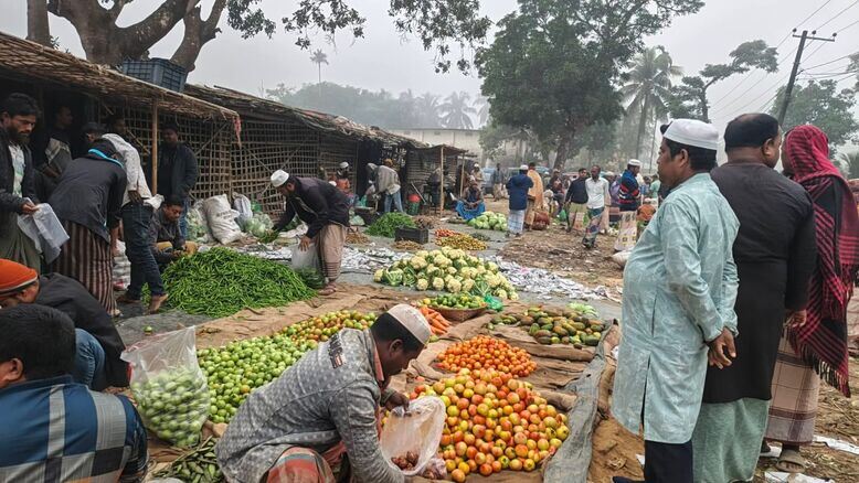 Veggies_optimized_100