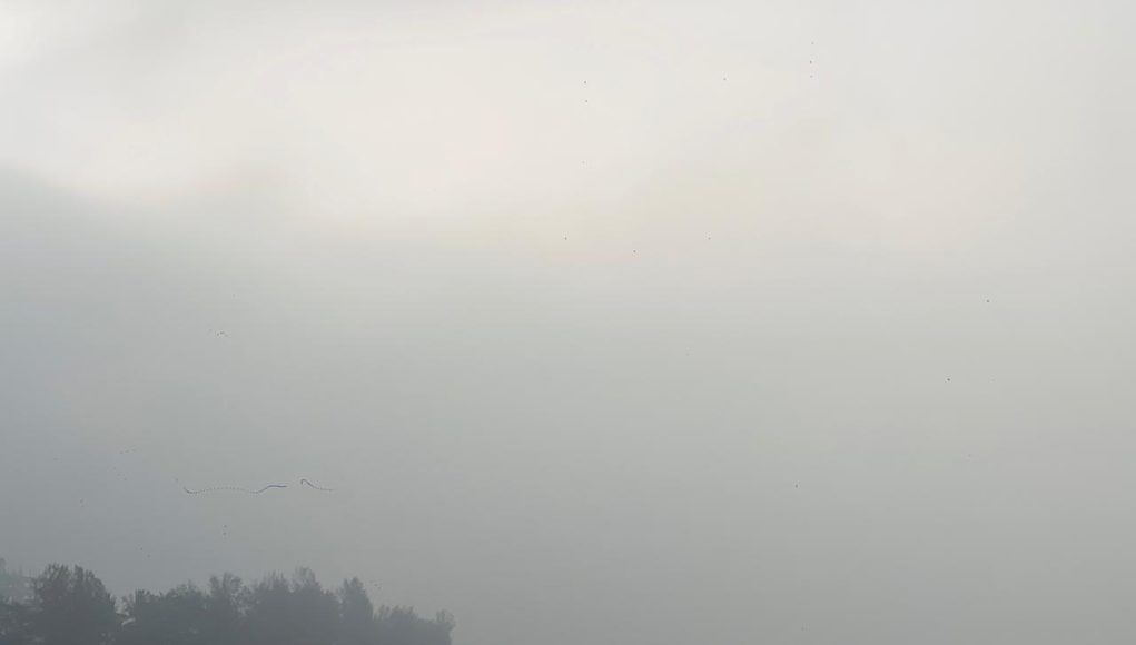 Foggg