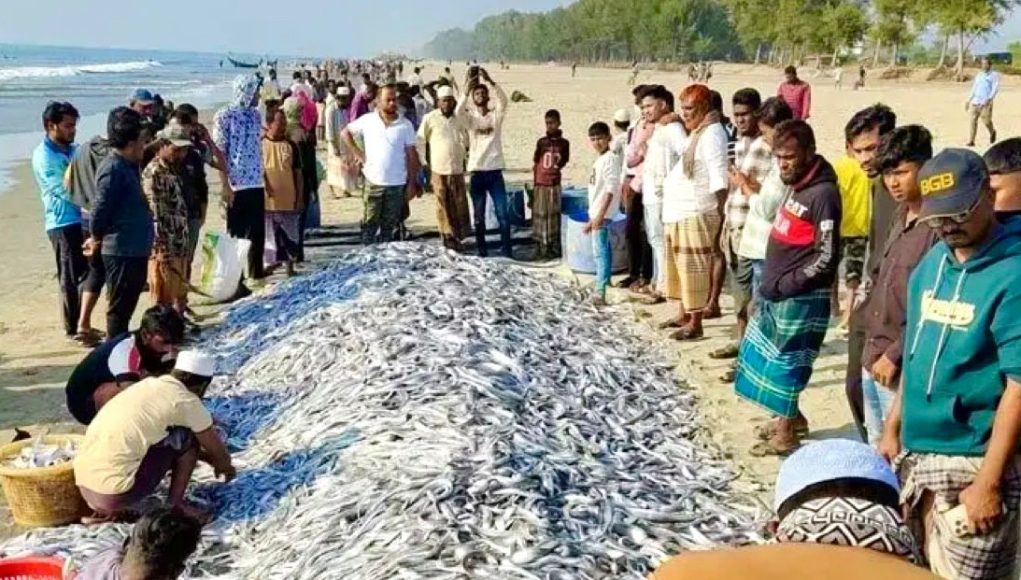 Fishes
