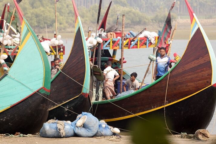Hilsa 4 optimized 100