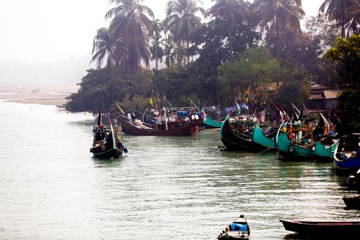 Hilsa optimized 100