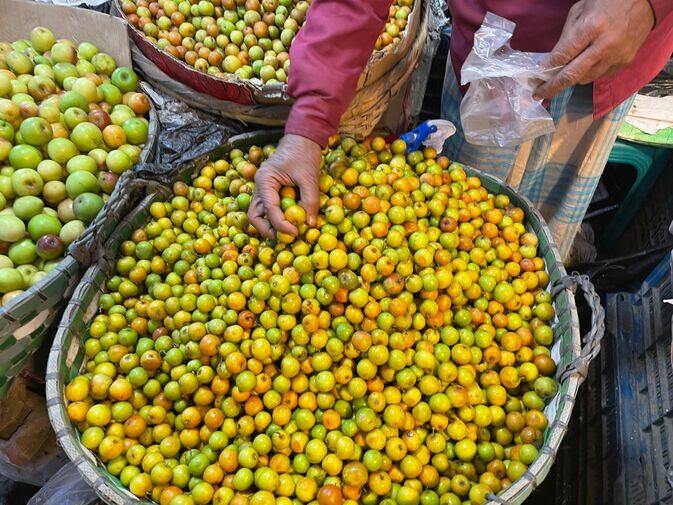 Jujube_optimized_100