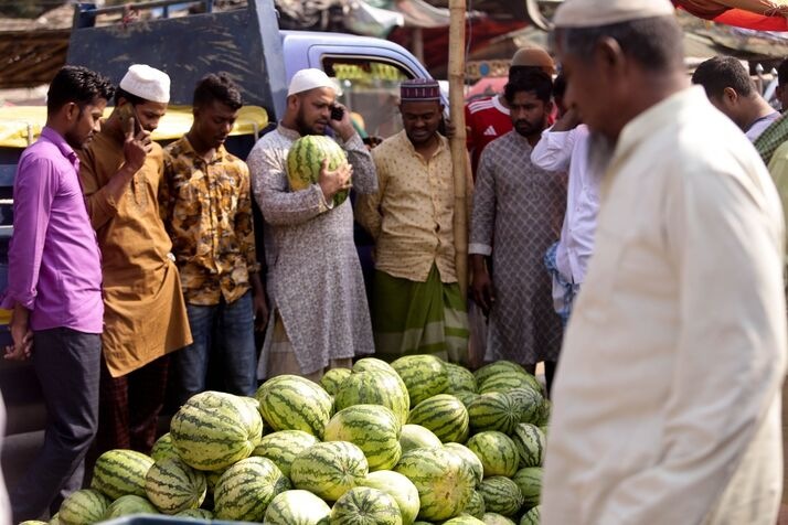 Watermelonn 2 optimized 100