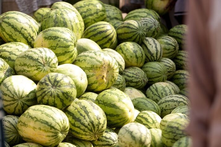 Watermelonn 4 optimized 100