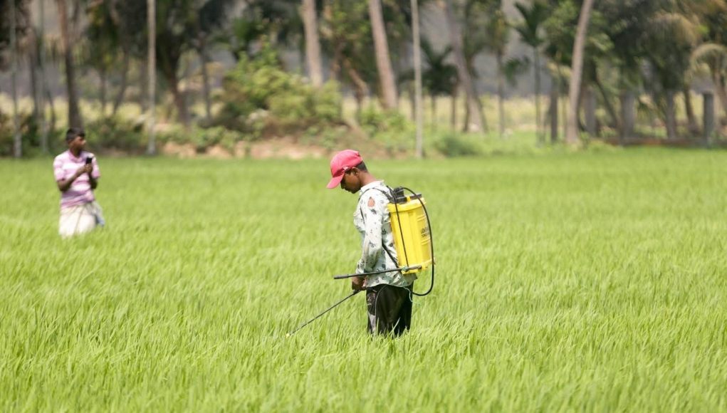 Farmer