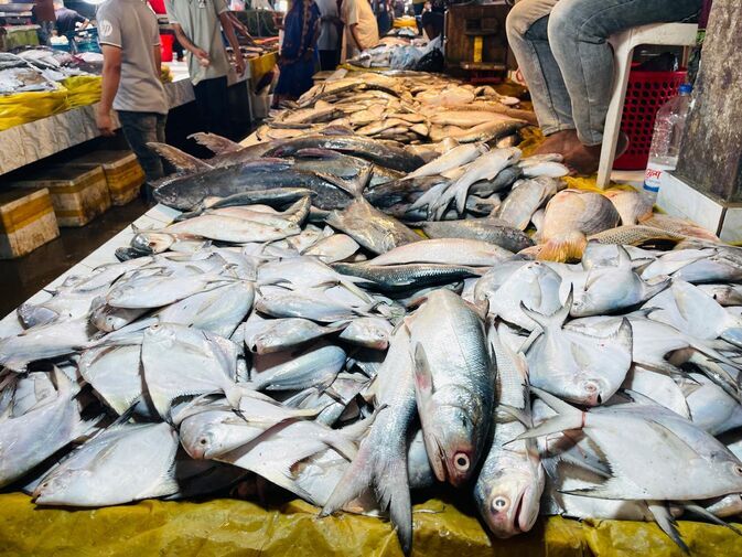 Fishhh_optimized_100