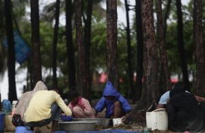 Tidal Currents Bring Shrimp Fry Harvest for Coastal Fishers