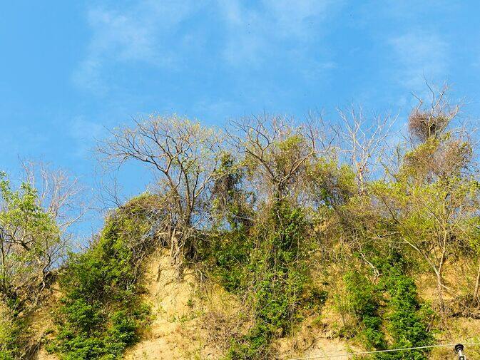 HillTop_optimized_100