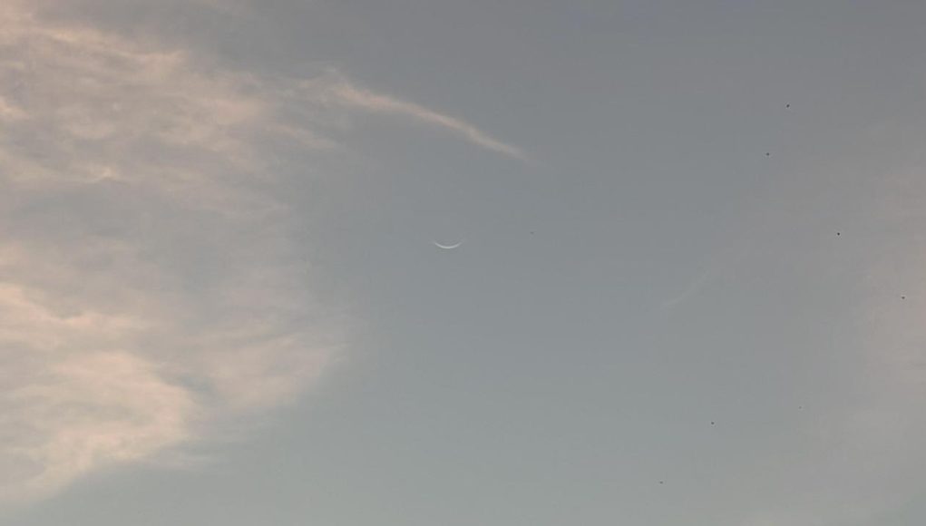 Moon