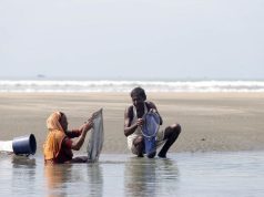 Shell Craft Keeps a Coastal Family Afloat in Cox’s Bazar