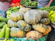 Sweet Pumpkins Flood Cox’s Bazar’s Boro Bazar as Seasonal Trade Gains Momentum