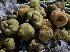 Rare Native Fruit ‘Batta’ Spotted in Cox’s Bazar