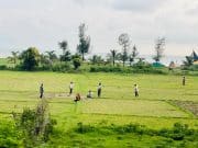 Youths Enjoy Cricket Amid Drizzle and Overcast Skies in Dariya Nagar
