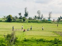 Youths Enjoy Cricket Amid Drizzle and Overcast Skies in Dariya Nagar