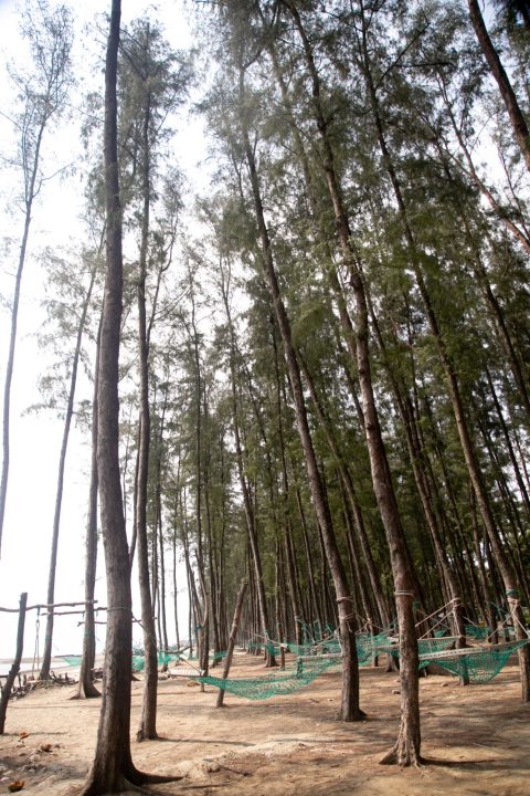 Dolna 6