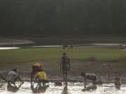 Monsoon Waterlogging Turns into a Natural Fishing Ground for Villagers in Cox’s Bazar