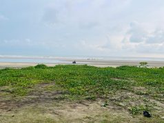 Monsoon Rains Revive Sagarlata Along Marine Drive